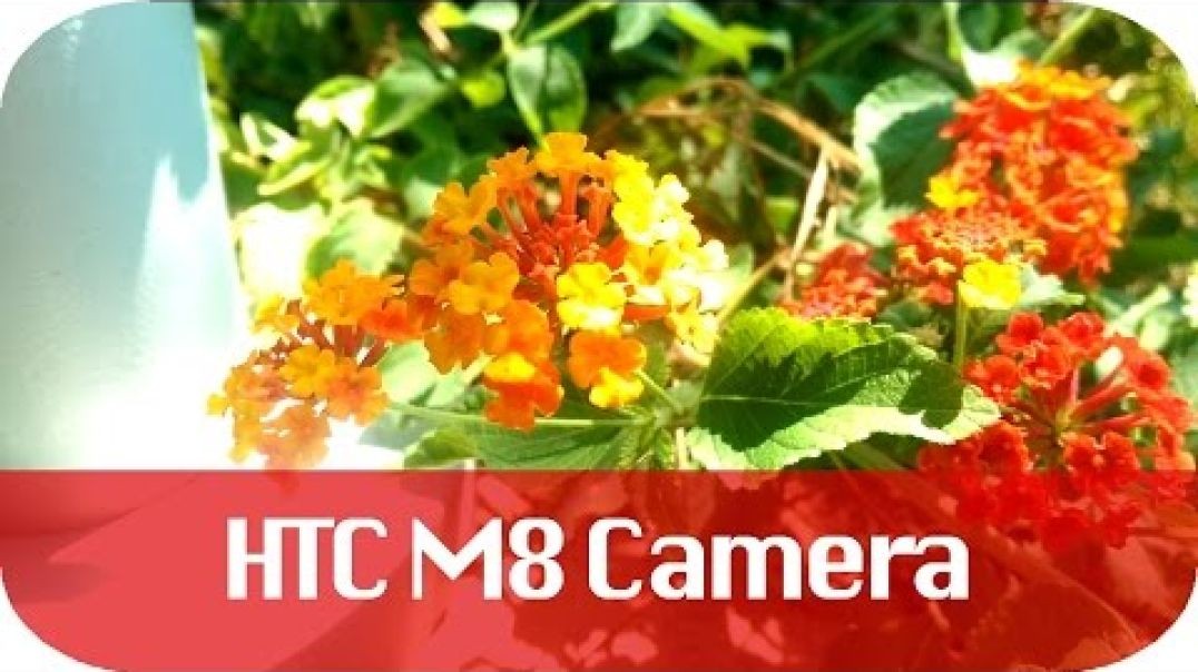 ⁣HTC One M8 Camera Summary (4.4.3 Update) - Is it Any Good?